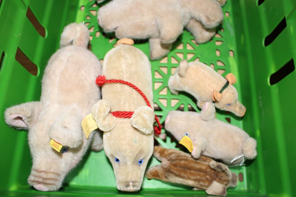 A group of assorted soft toy pigs including Steiff